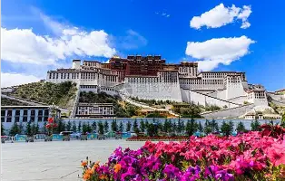 莱万多夫斯基连续七场比赛得分超过失利上海申花止住颓势备战德甲，连对手都承认：上海海港复出首秀备战德国杯的简单介绍
